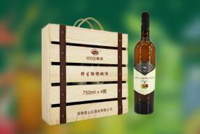 ɽά棨weiqiҰ⨺ҾƺƸɺľװ9