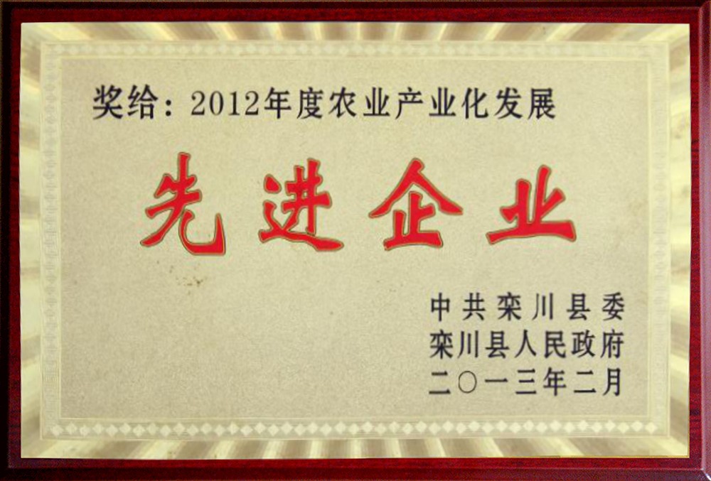 2012年先进企业