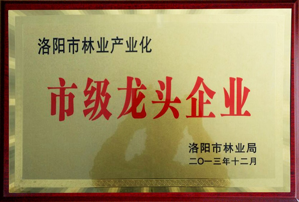 �м���ͷ��ҵ