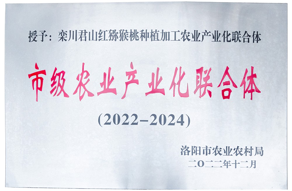 市级农业产业化联合体