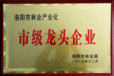 �м���ͷ��ҵ