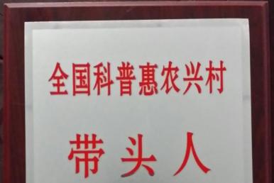 ���ջ�ũ��ͷ��